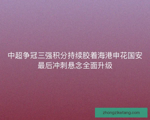 中超争冠三强积分持续胶着海港申花国安最后冲刺悬念全面升级